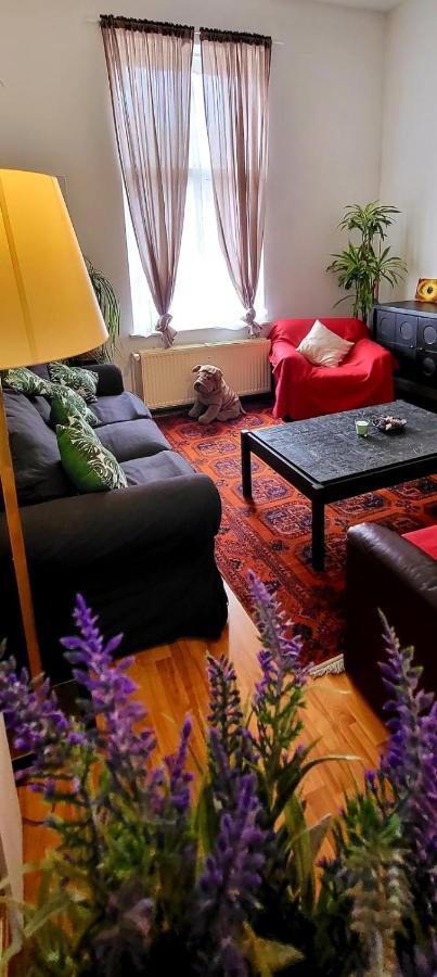 Bright Studio Close To Zaventem Airport Brussels Exterior photo